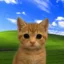 in a world of inu's icon