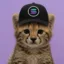 Cheetah icon