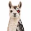 LLAMA icon
