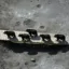 The 5 Moon Bears icon