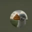 poolu icon