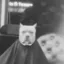 Dog in barbershop icon