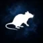 murid experiment icon