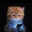 cat wif sword phubbing icon