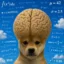quant maxxing inu icon