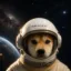 Space Inu icon