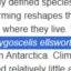 Pygoscelis ellsworthi icon