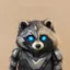 Rakoon icon