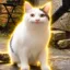 The Polite Cat icon
