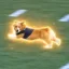 The Fastest Runner icon