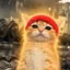 Pumped Kitty icon