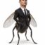 SIUFLY icon