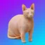 Chingus icon