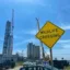 Justice for endangered wildlife icon