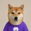 public inu icon