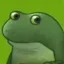 Froge icon