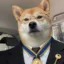 Accredited Inu icon
