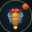 FlyElon icon