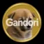 강도리 coin icon