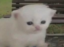 Sad icon