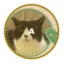 onyanCoin icon
