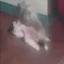 The Aura Dog icon
