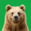 Jenny icon