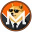 Secret Doge icon