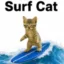 Surf Cat icon