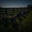 Follow The Pack icon