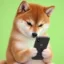 Normdog icon