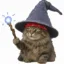 Wizard Kitty icon