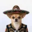 Alien Inu icon