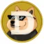 XDogecoin icon