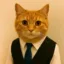 Fidelity Cat icon