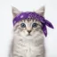 The Bandana Cult icon