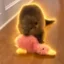 Sawyer the Beaver icon