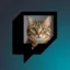 TIPPEDCAT icon