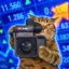 Crypto Asset Market icon