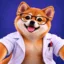 PnP PuP icon