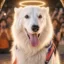 The Rescue Dog icon