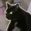 Mickey The Black Cat icon