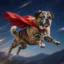 Super-Dog icon