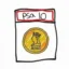 PSA10 Coin icon