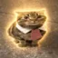 bizcat icon