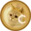 Catcoin icon