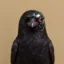 Crow Intelligence icon