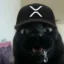 Xtremely retarded pussy icon