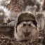 Thousand Yard Stare icon