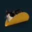 TACOCAT icon